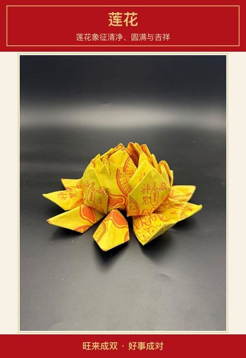 莲花 图文详情 1