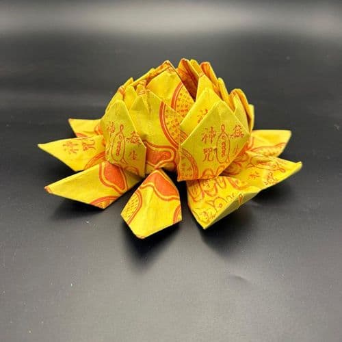 莲花 细节图 1