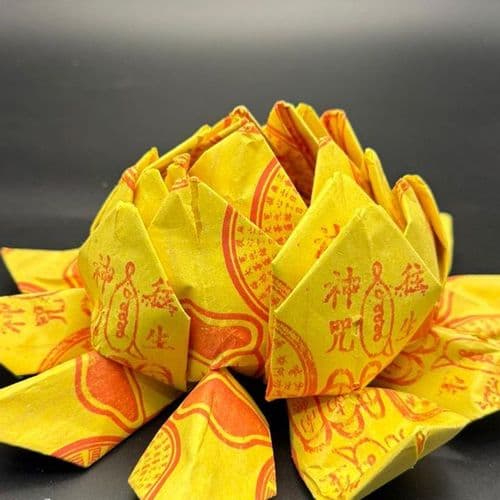 莲花 细节图 2