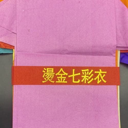 烫金七彩衣 细节图 2